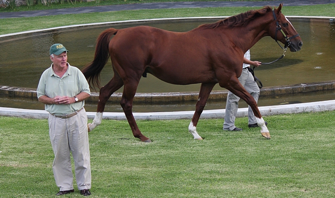 Mick Goss of Summerhill Stud, Admire Main being paraded. Image: Candiese Marnewick