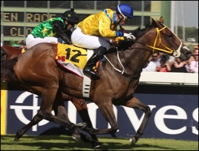 Igugu(AUS) winning the 2012 J&B Met: image sahracing.com