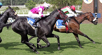 King's Bay winning the Sentinel Stakes, with Rathmor's Acapulco finishing second. Image: Gold Circle