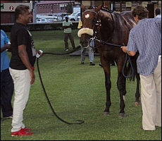 Alesh with his recent winner and favourite horse, Dynamic Star. Image: Gold Circle
