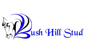 www.bushhillstud.co.za