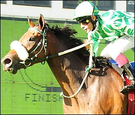 Dancewiththedevil winning the Grade 1 Horse Chestnut Stakes on 31 March 2012 at Turffontein. Image: sportingpost.co.za