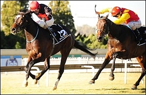 Eton Square, nominated for the Vodacom Durban July this year. Image: Sportingpost.co.za.
