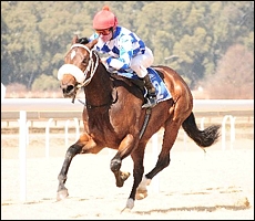 Extra Zing, storming to a five length victory on debut at the Vaal. Images: JC Photos