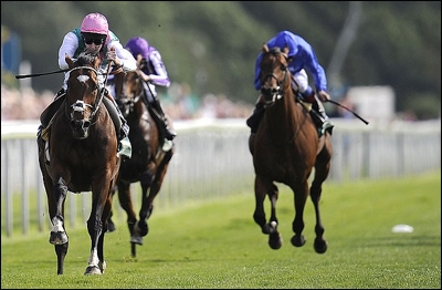 Frankel soaring to victory in the Gr 1 Juddmonte International at York yesterday. Image: Getty Images