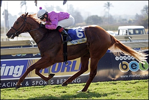 Gitiano, second winner for Mullin's Bay. Image: Gold Circle