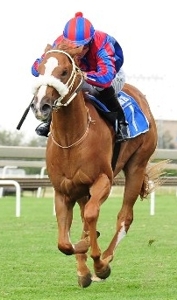 Jimmi Choo winning the Storm Bird Stakes Listed. Image: JC Photos