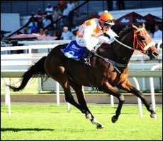 Legal Action, winning the Var Gold Rush Sprint for Midlands Thoroughbreds