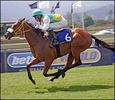 Nips Nugget powering home to victory. Image: Gold Circle