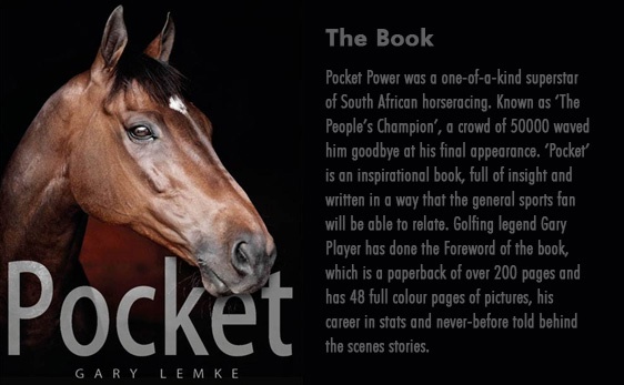 Pocket - The Book