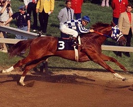 Secretariat showing his massive length of stride in the Preakness - 1 of the legs of his Triple Crown win