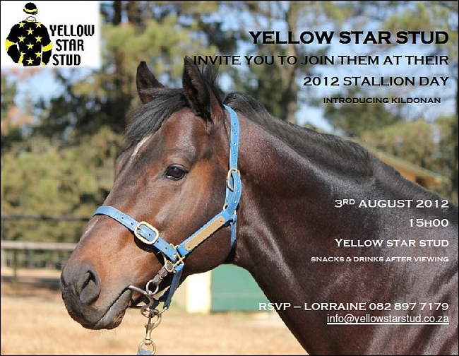www.yellowstarstud.co.za