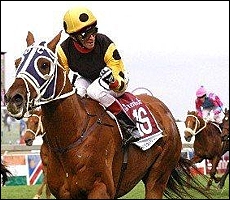 Strategic News(AUS) storming to victory by three lengths in the Gr 1 Steinhoff Summer Cup. Image: sportingpost.co.za.