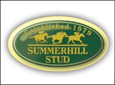 Summerhill Stud
