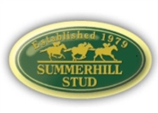 Summerhill Stud, Champion Breeders for eight consecutive years. Image: Summerhill Stud