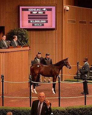 Record priced Tapit filly out of Serena's Cat, the dam of Noble Tune. Images: Keeneland.