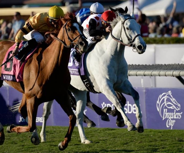 Za Approval running a close second to Wise Dan in the 2013 Breeders Cup. Image: Candiese Marnewick