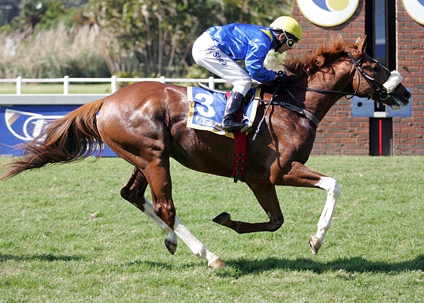 Bezanova winning at Clairwood. Image: Gold Circle