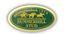 Summerhill Stud: Sale Of Mares And Weanlings