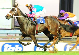 KZN-bred Entries: Summer Cup Day At Turffontein