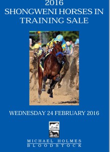 Online Catalogue: MHB 2016 Shongweni Horses In Training Sale