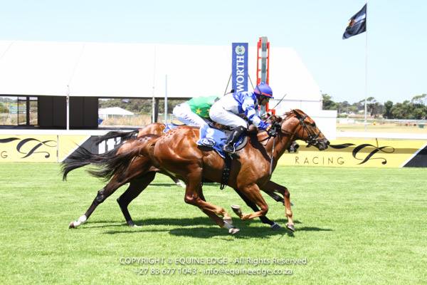 First Winner For Gr1 Kahal Mare Spiced Gold
