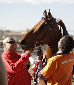 KZN-Bred Talktothestars Highest Rated In Country At 121
