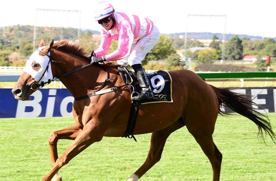 KZN-Bred The Elmo Effect Wins Drum Star Listed