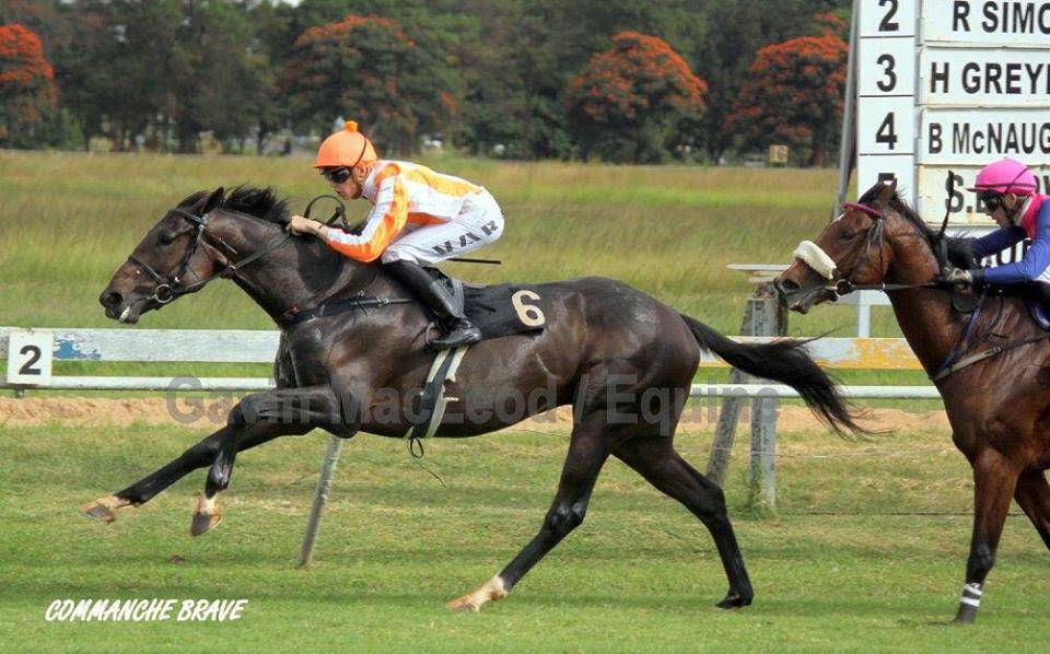 Comanche Brave Wins Zim Champions Cup Listed