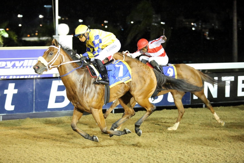 Curved Ball Filly Breaks Class Record At Greyville