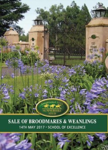 Summerhill Stud: Sale Of Mares And Weanlings – 14 May