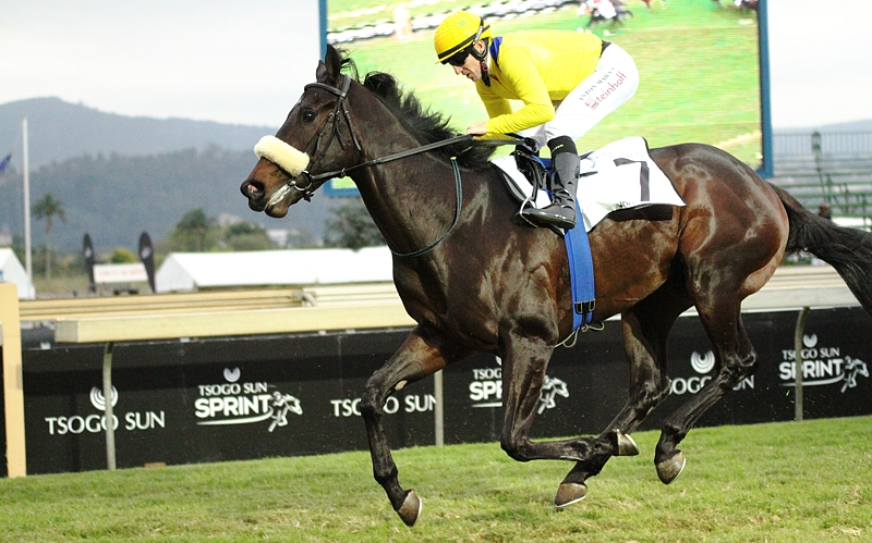 Sand And Sea gave Yellow Star's Spectrum a local Gr1 success as a broodmare sire in the Gr1 Gold Medallion for KZN trainer, Dennis Drier. Image: Candiese Marnewick