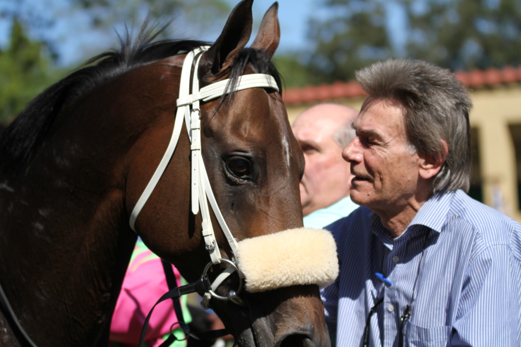 The Poet is greeted by Mr Denman in the winners enclosure at Scottsville. Image: Candiese Marnewick