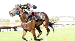 Matador Man wins the Secretariat Stakes Listed. Image: JC Photos