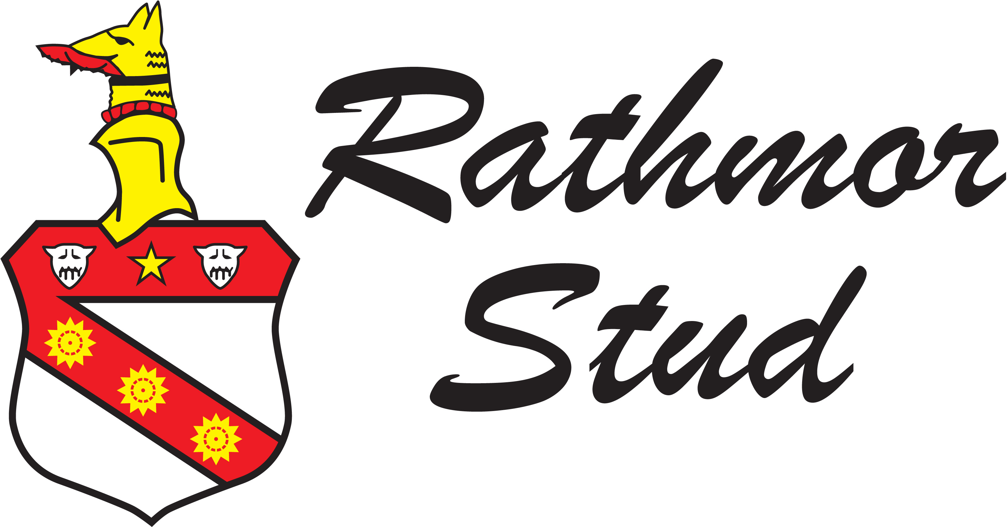 RATHMOR STUD OFFER 15 AT 2019 KZN YEARLING SALE