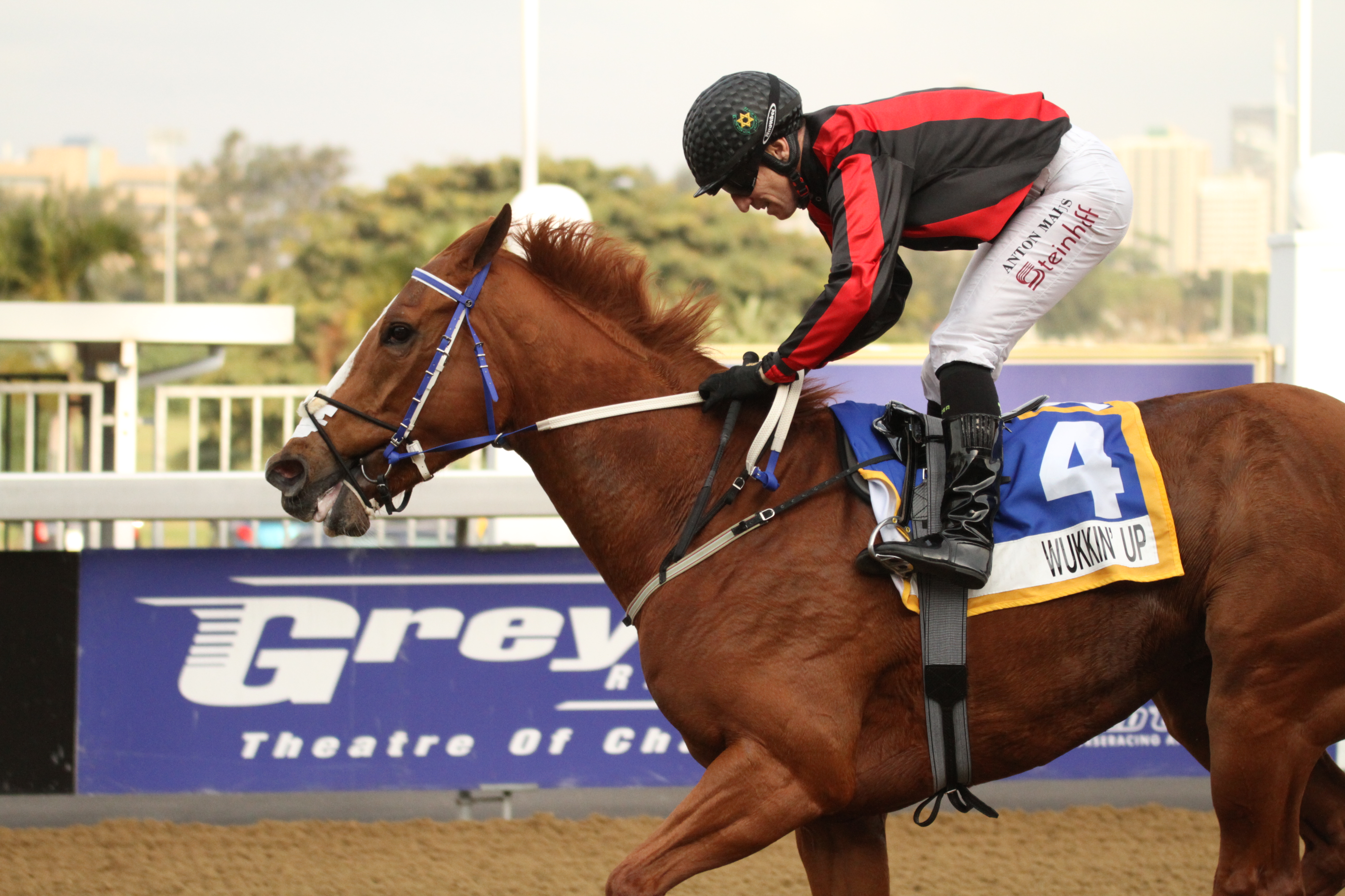 KZN-Bred Wukkin’ Up Secures Off To Stud Listed