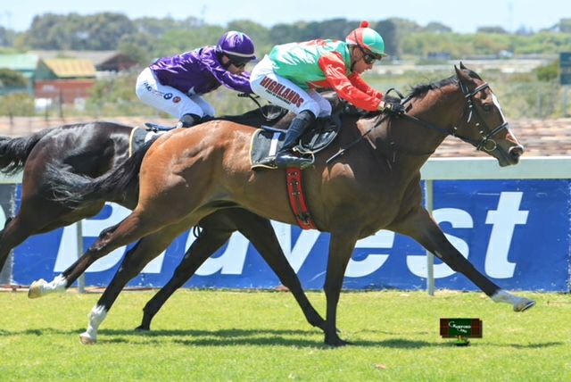 KZN-Bred Double At Kenilworth