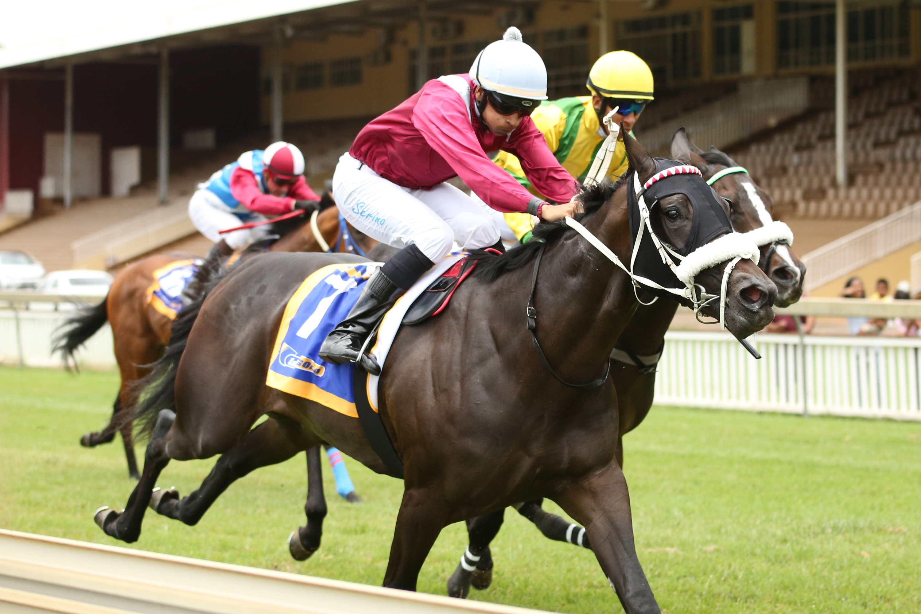 Lady Abigail takes on the boys to win, making it a 1-2 for trainer Lezeanne Forbes and KZN-breds. Image: Candiese Marnewick 