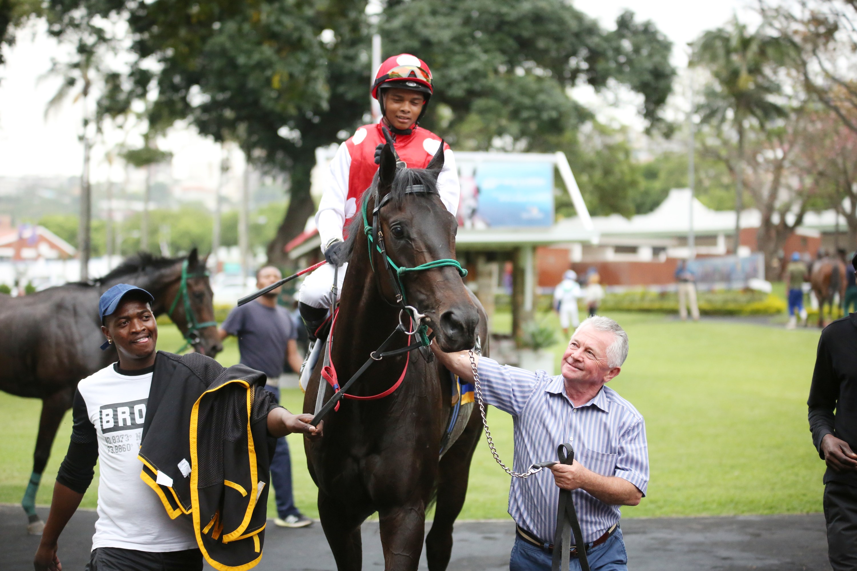 KZN-breds Win Six Of Nine Races At Greyville