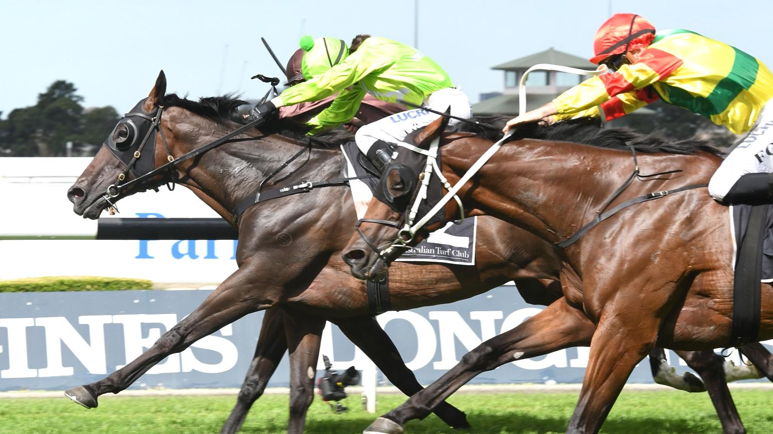 Redoute’s Promise Half-Brother Wins Listed Parramatta Cup