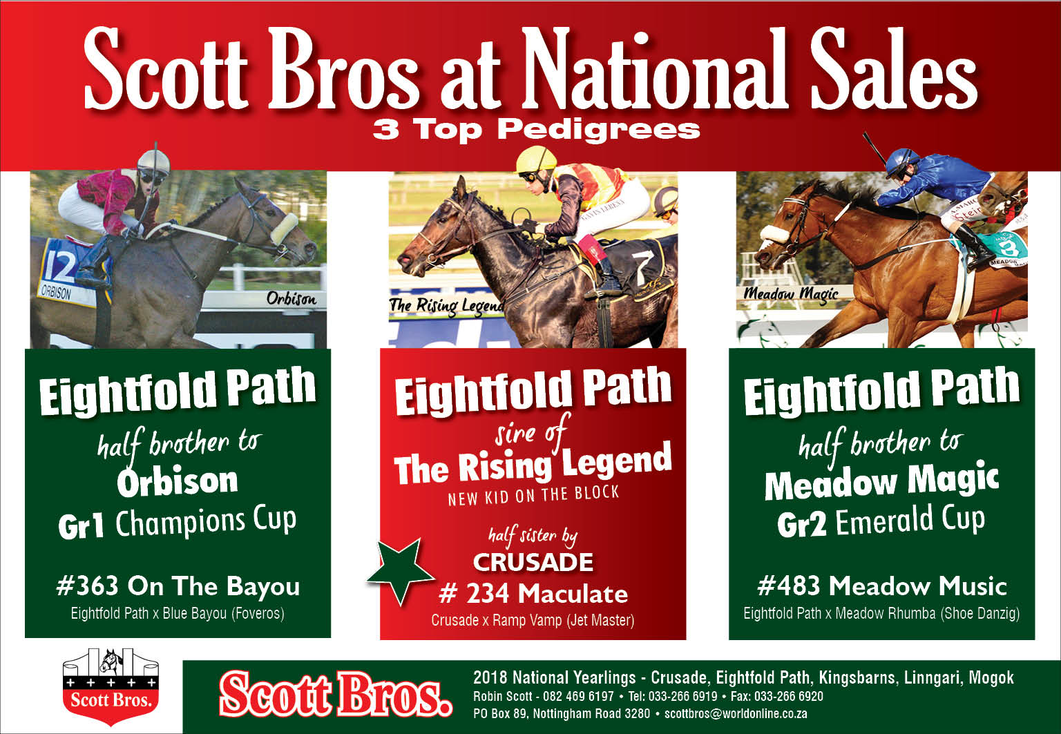 Eightfold Path At The National Yearling Sale