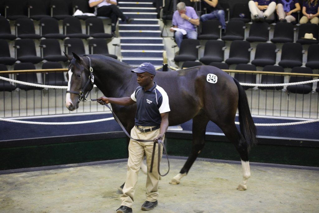 Your Pace Or Mine sold to Mary Slack from Hadlow for R280 000. Image: Candiese Marnewick 