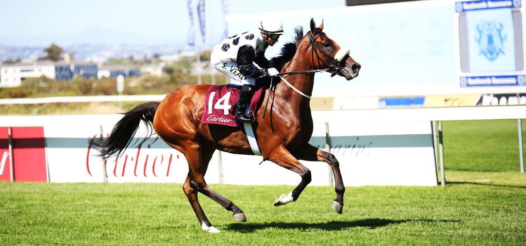 Look for Rathmor Stud's Oratorio half-sibling to Gr1 winner Lady In Black at the Nationals. Image: Candiese Marnewick 