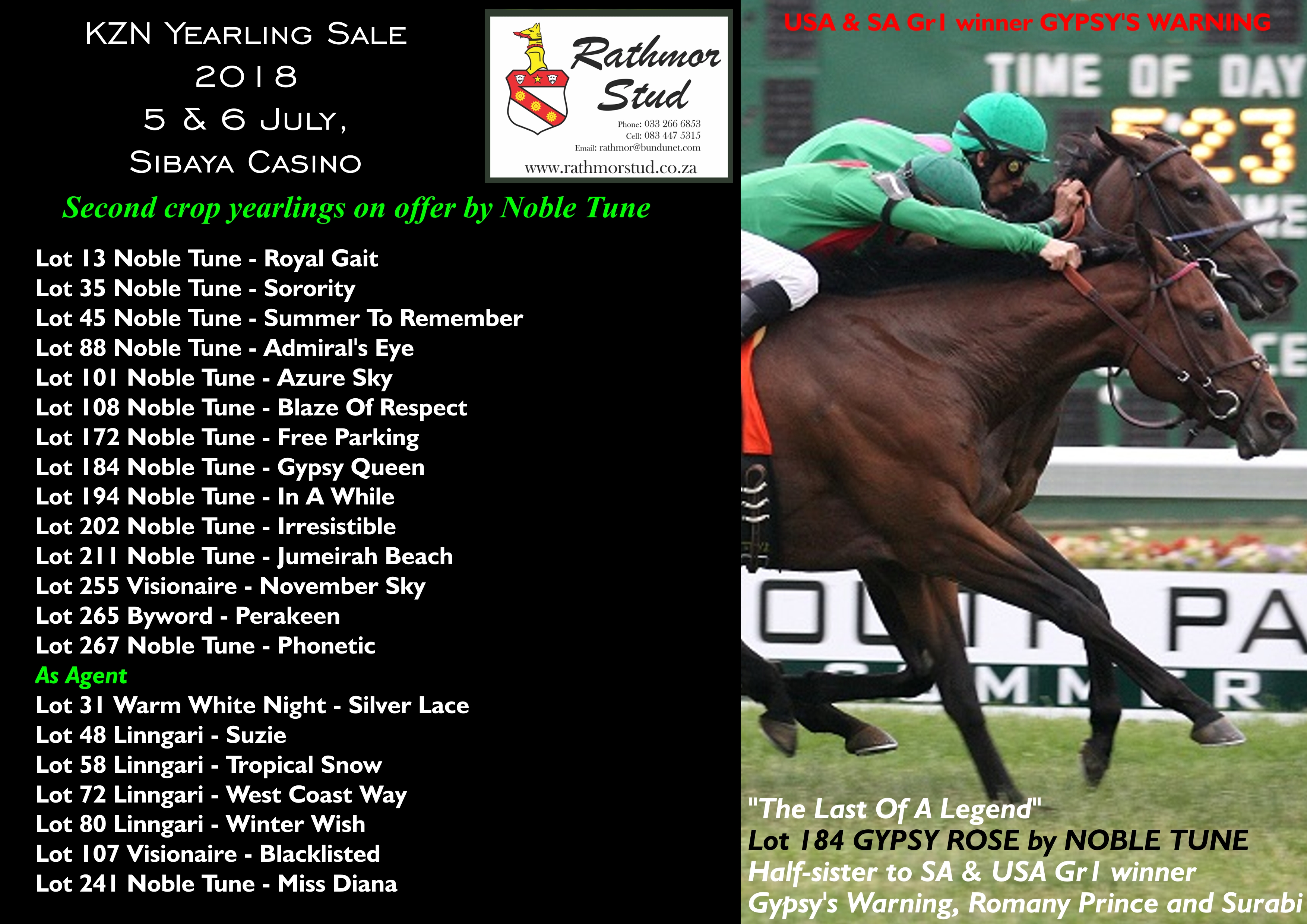 Rathmor Stud At The KZN Yearling Sale