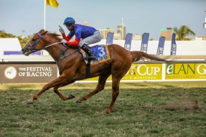 KZN Results From Gold Cup Day