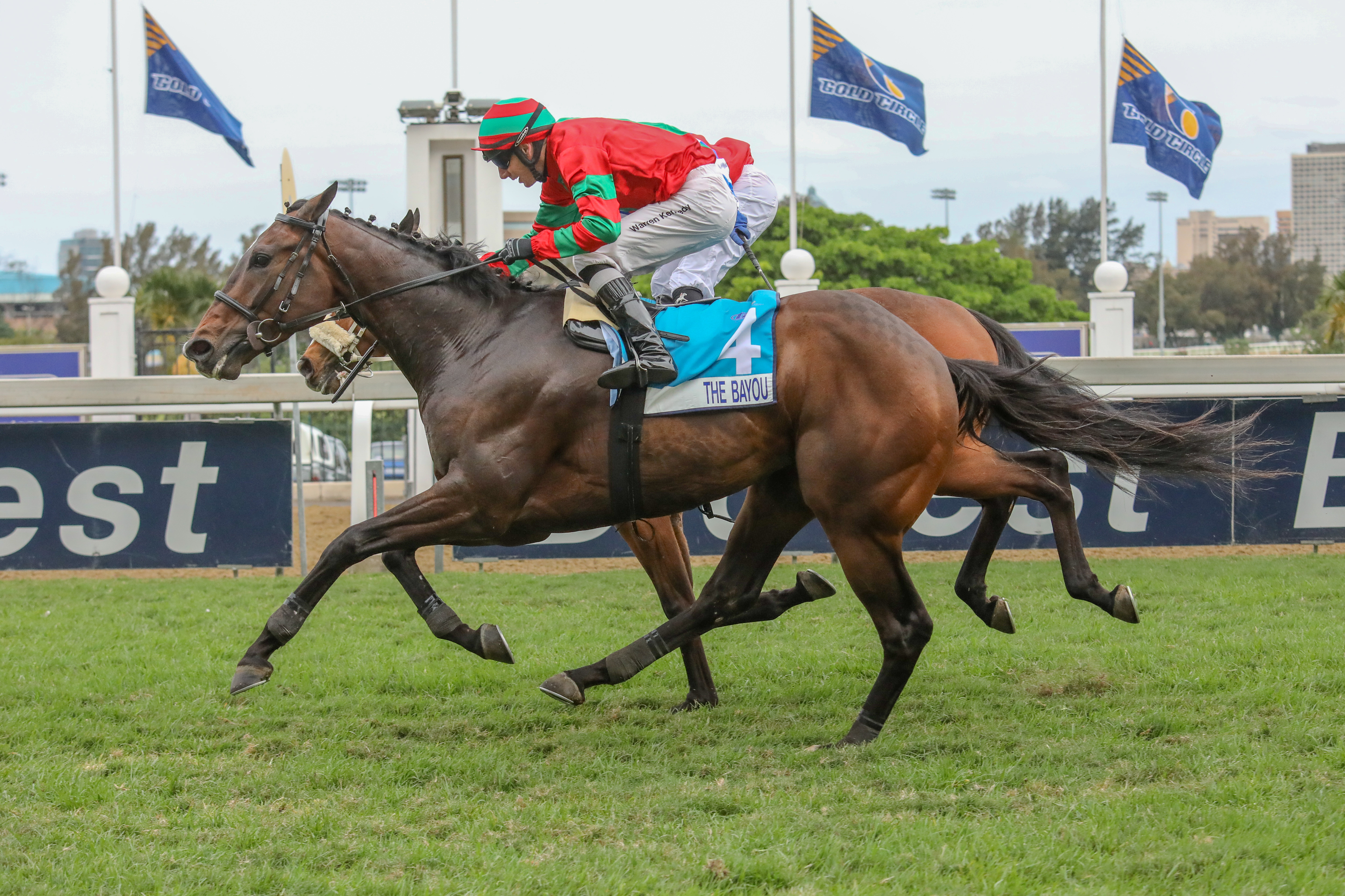 Orbison Full Brother Impresses At Greyville