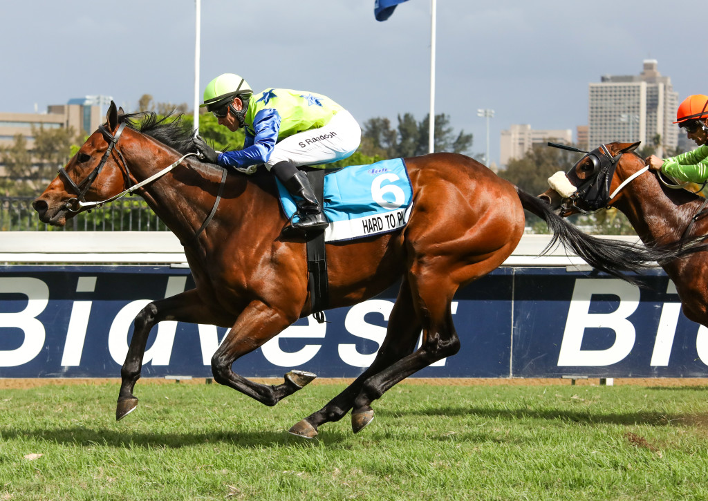 Hard To Play beats an impressive field in the Pinnacle Stakes over 1200m. Image: Candiese Marnewick