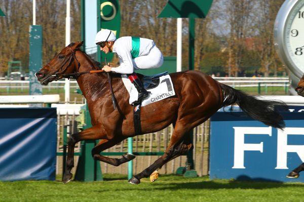 French Stakes Victory For Just As Well