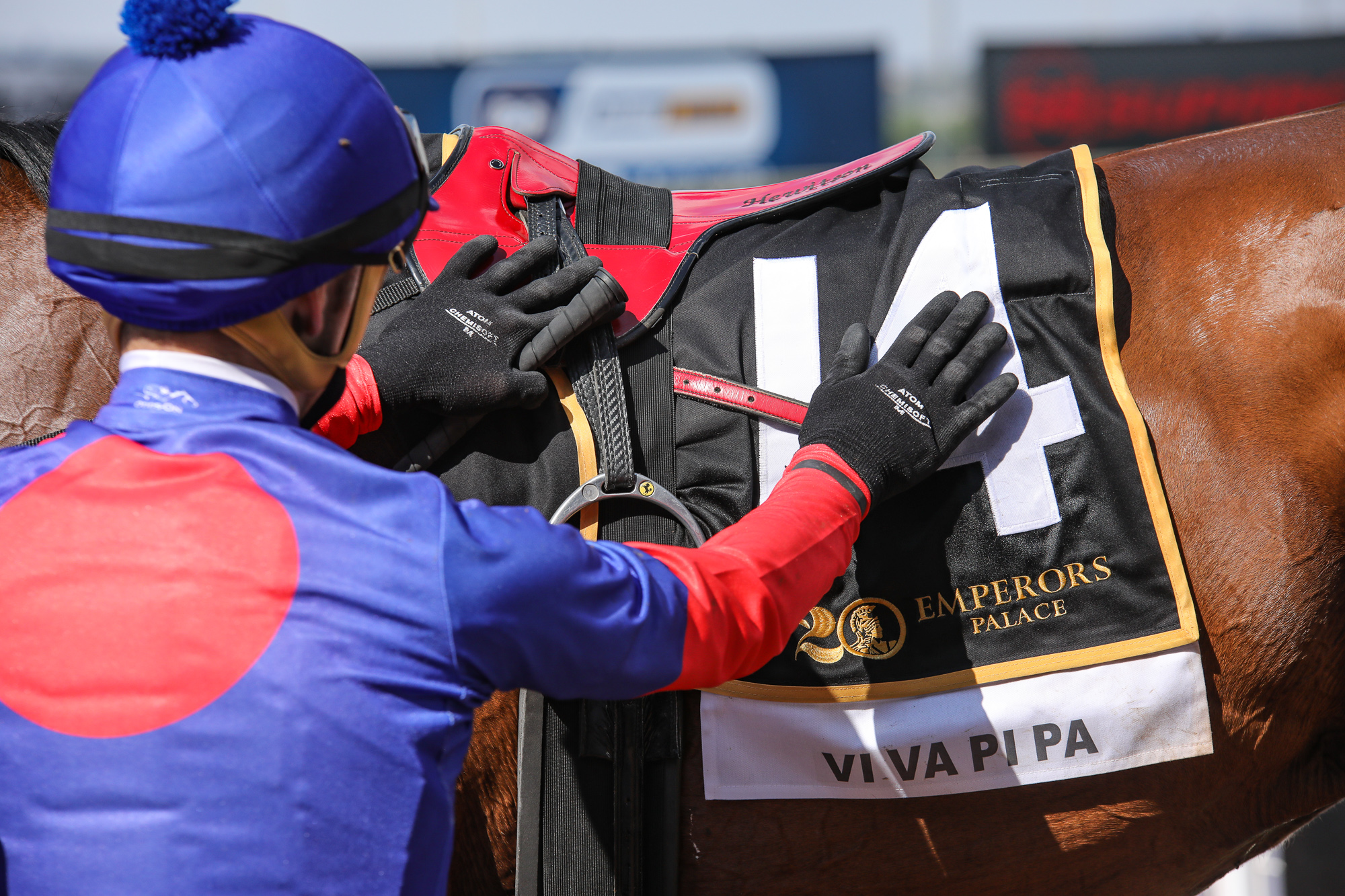 #kznbred Viva Pipa Takes Emperors Palace Ready To Run Cup