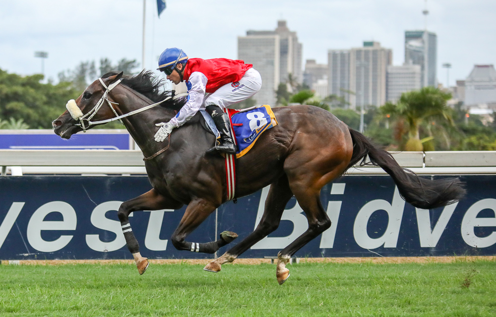 Vinson impressed at Greyville on the turf. Image: Candiese Marnewick